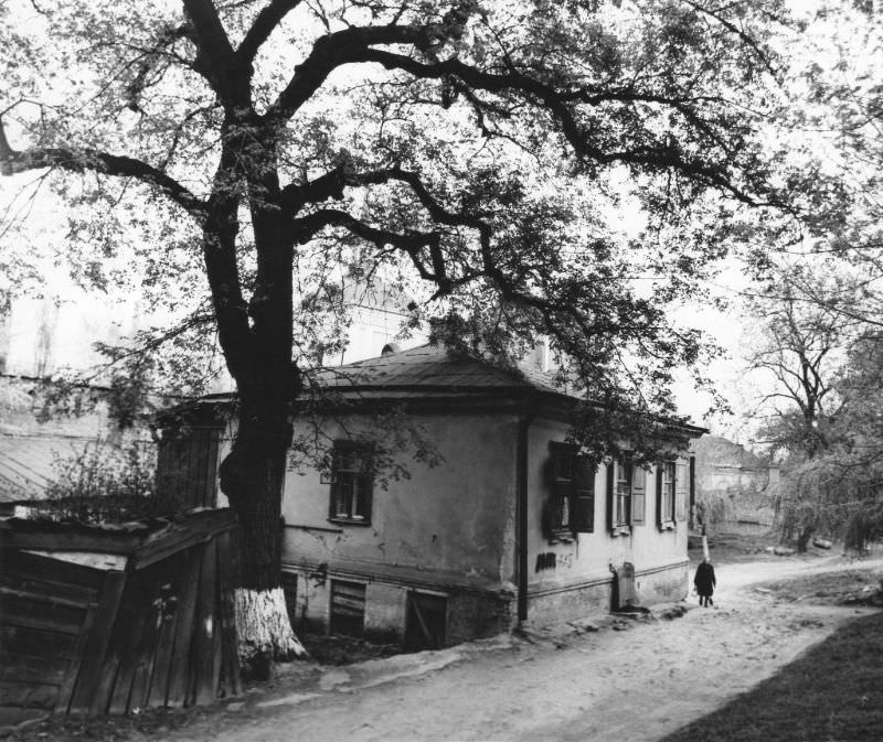 #15 Quiet street in Kyiv, 1978