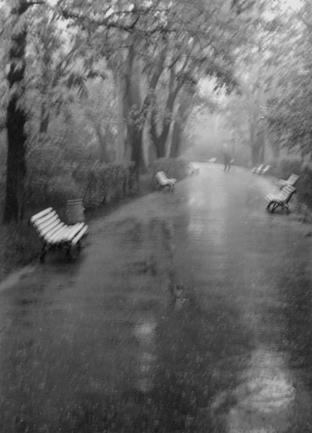 #7 Raining, Shevchenko park, Kyiv, 1971