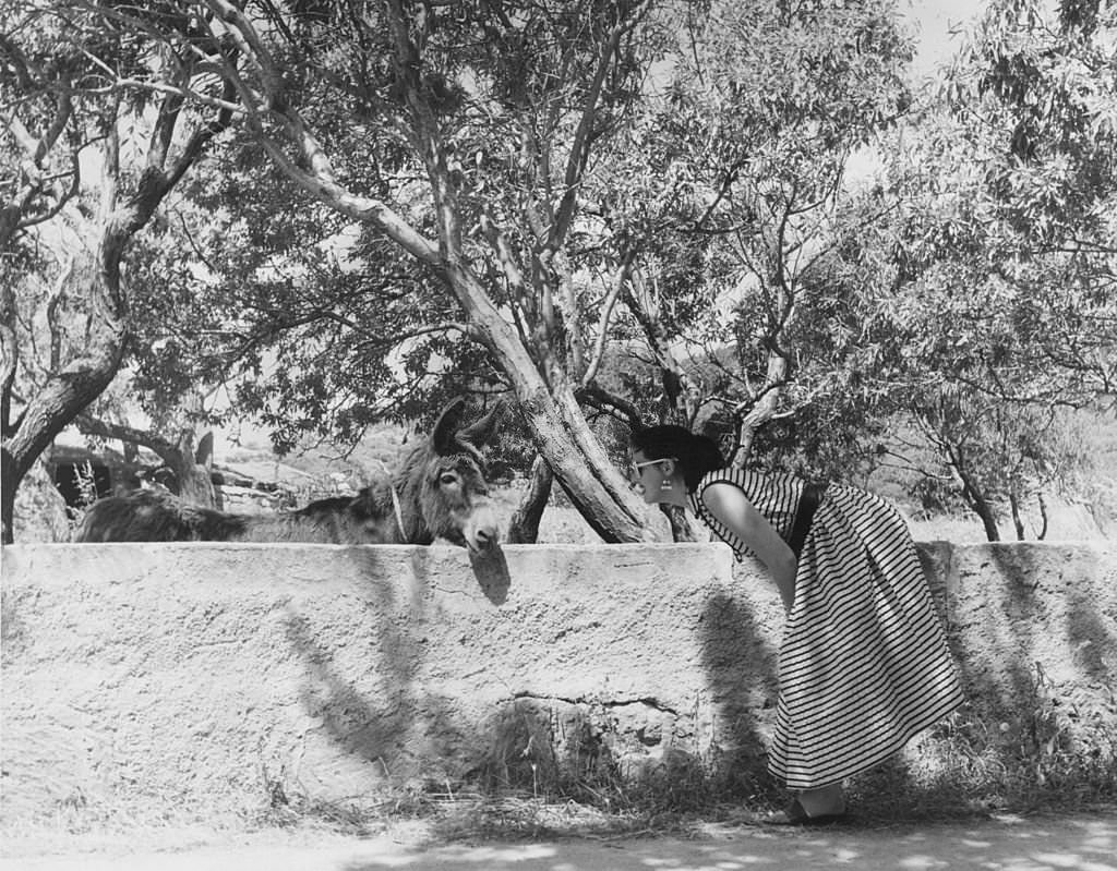 #102 Doreen Lord, a former dancer at the Windmill Theatre, with her pet donkey in the garden of her villa in Majorca, 1958