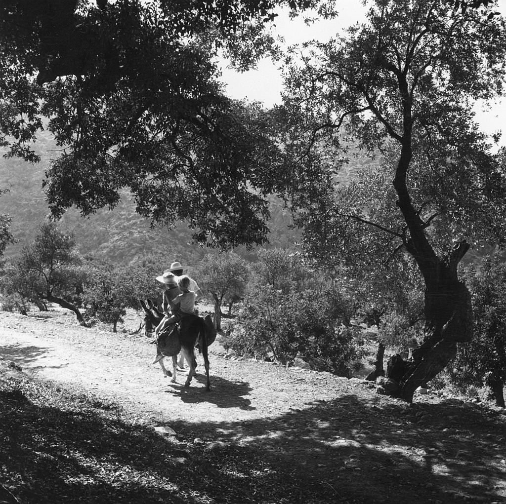 #111 English novelist, poet and scholar Robert Graves rides a donkey through an olive grove in Majorca with two of his children, 1954