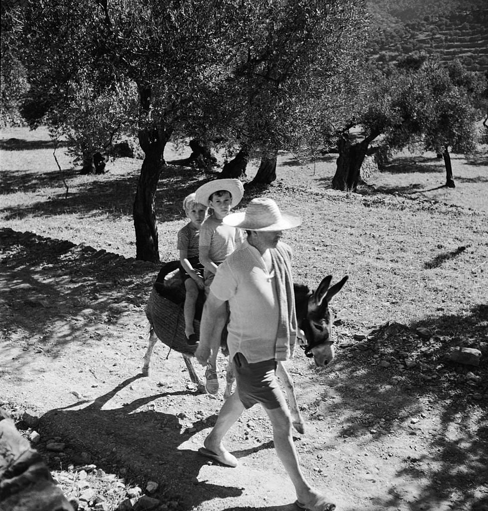 #117 Robert Graves leads his sons William and Juan on a donkey through an olive grove to the beach at Deya, Majorca, January 1954.