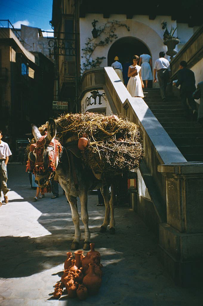 #90 A street in the Old City of Palma de Majorca, Majorca, Spain, August 1957. The street leads down from the Plaza Mayor district to the waterfront.