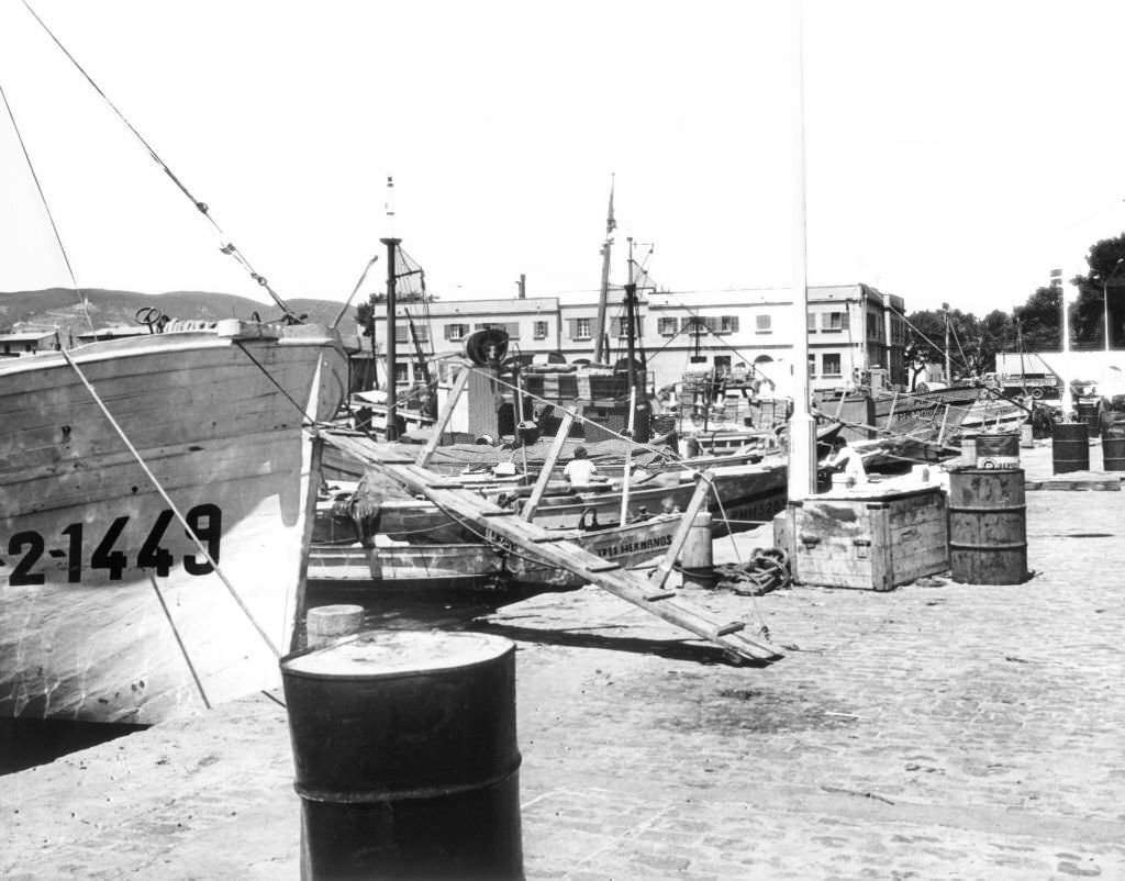 #16 The fishing port of Palma de Mallorca, 1972