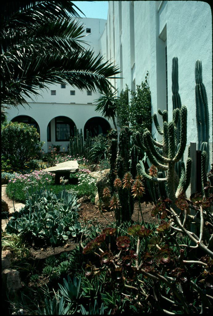 #37 Cactus Garden in Mallorca