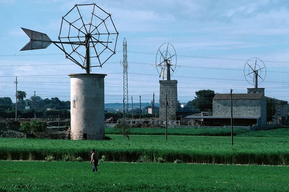 #45 Windmill, Laguna, Mallorca, 1976