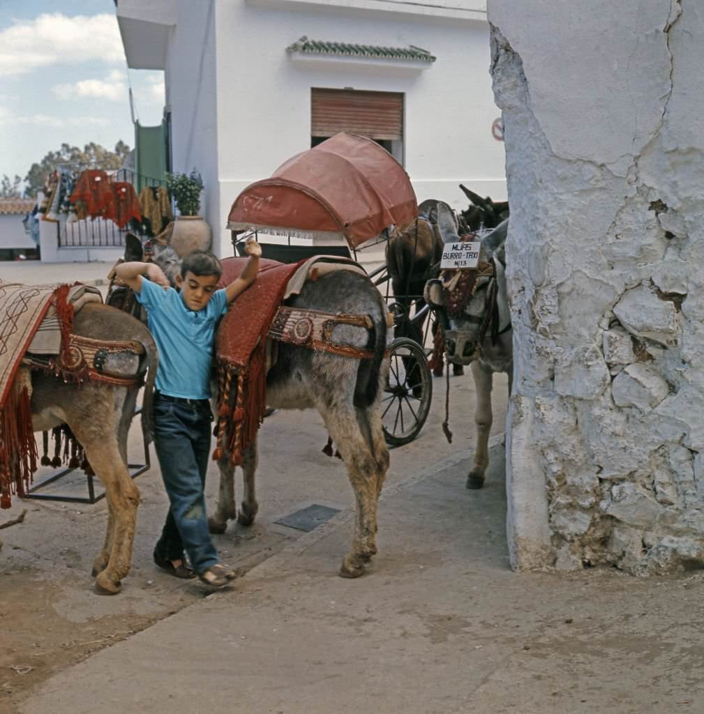 #10 A boy plays between two donkeys of the donkey taxi service for tourists in the municipality of Mijas in Malaga, Spain.