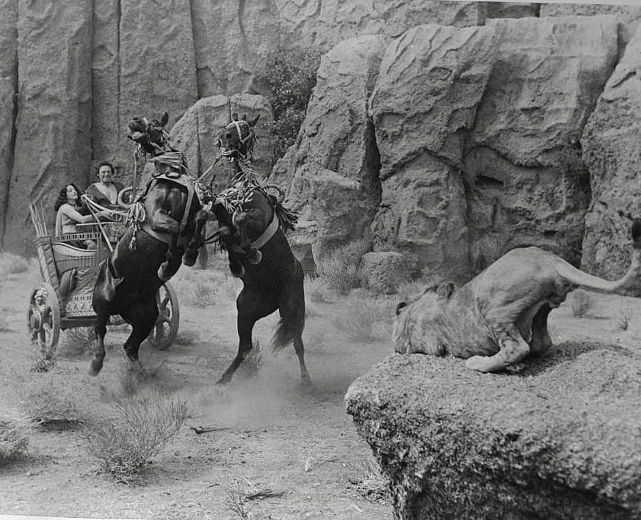 Fighting Lions in Scene from ‘Samson And Delilah’, 1949