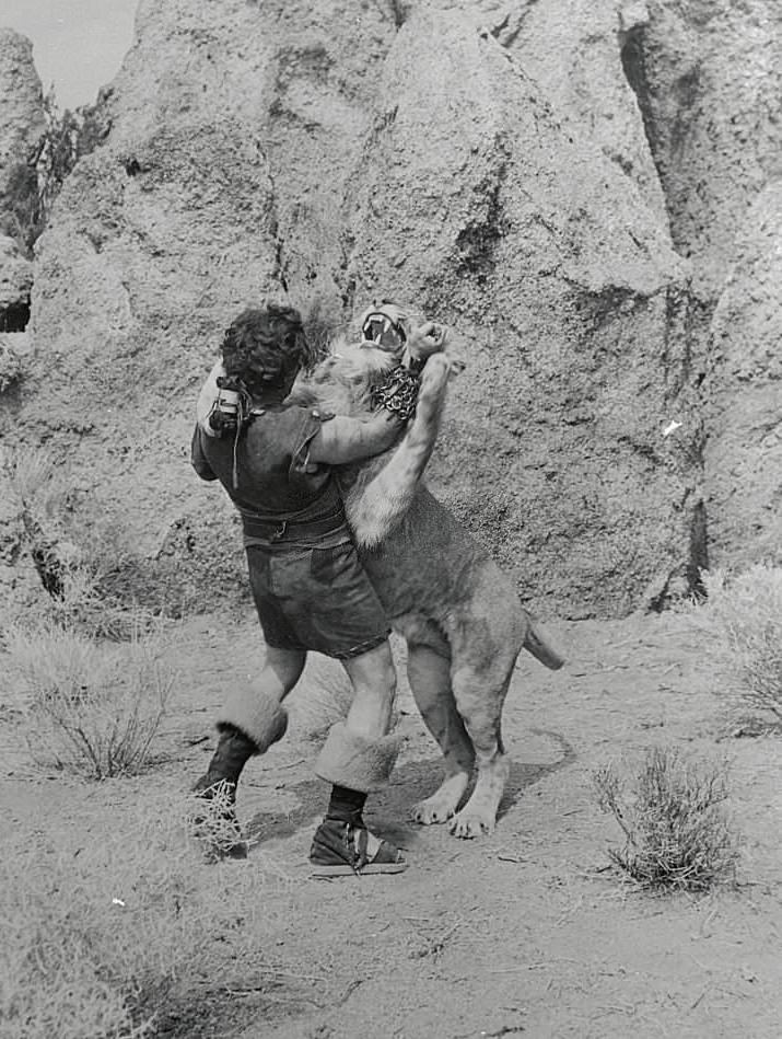 Victor Mature Fighting Lion in Movie ‘Samson and Delilah’