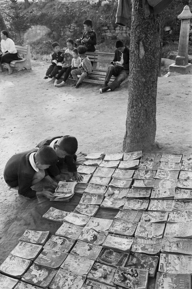 #12 Jangchungdan Park, Seoul, 1950s