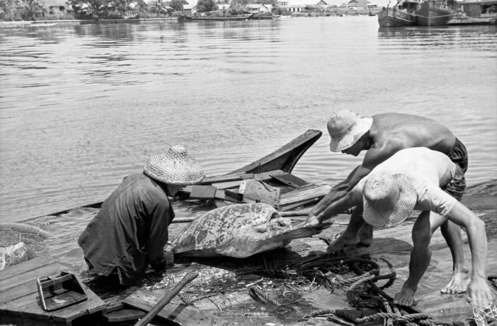 #70 Fishermen drawing on the ground the turtles they just fished, Singapore, 1962