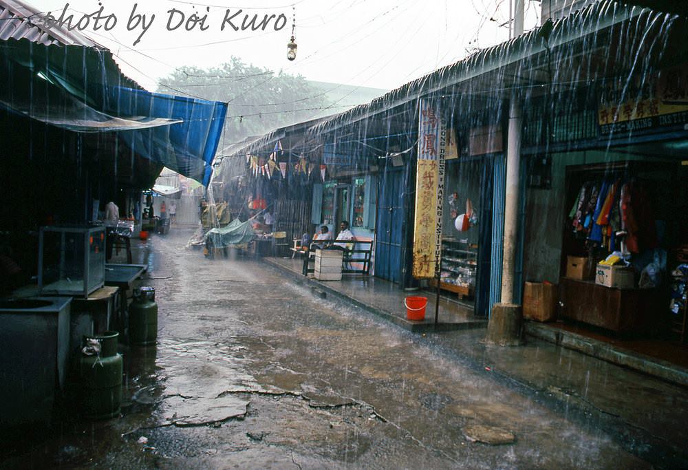 #81 Take shelter from the rain, 1984