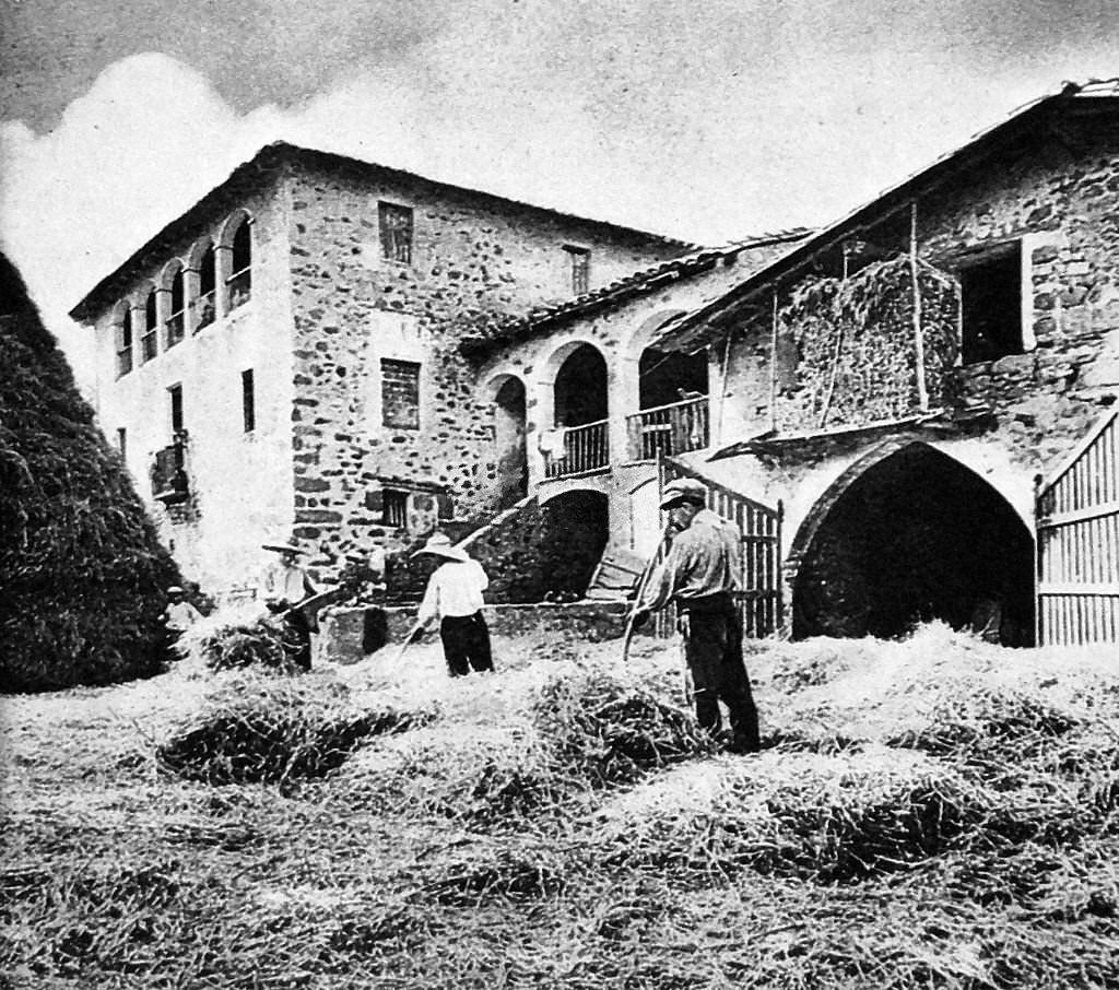 #169 Collective efforts in farm production to meet the republican war effort, during the Spanish Civil War.
