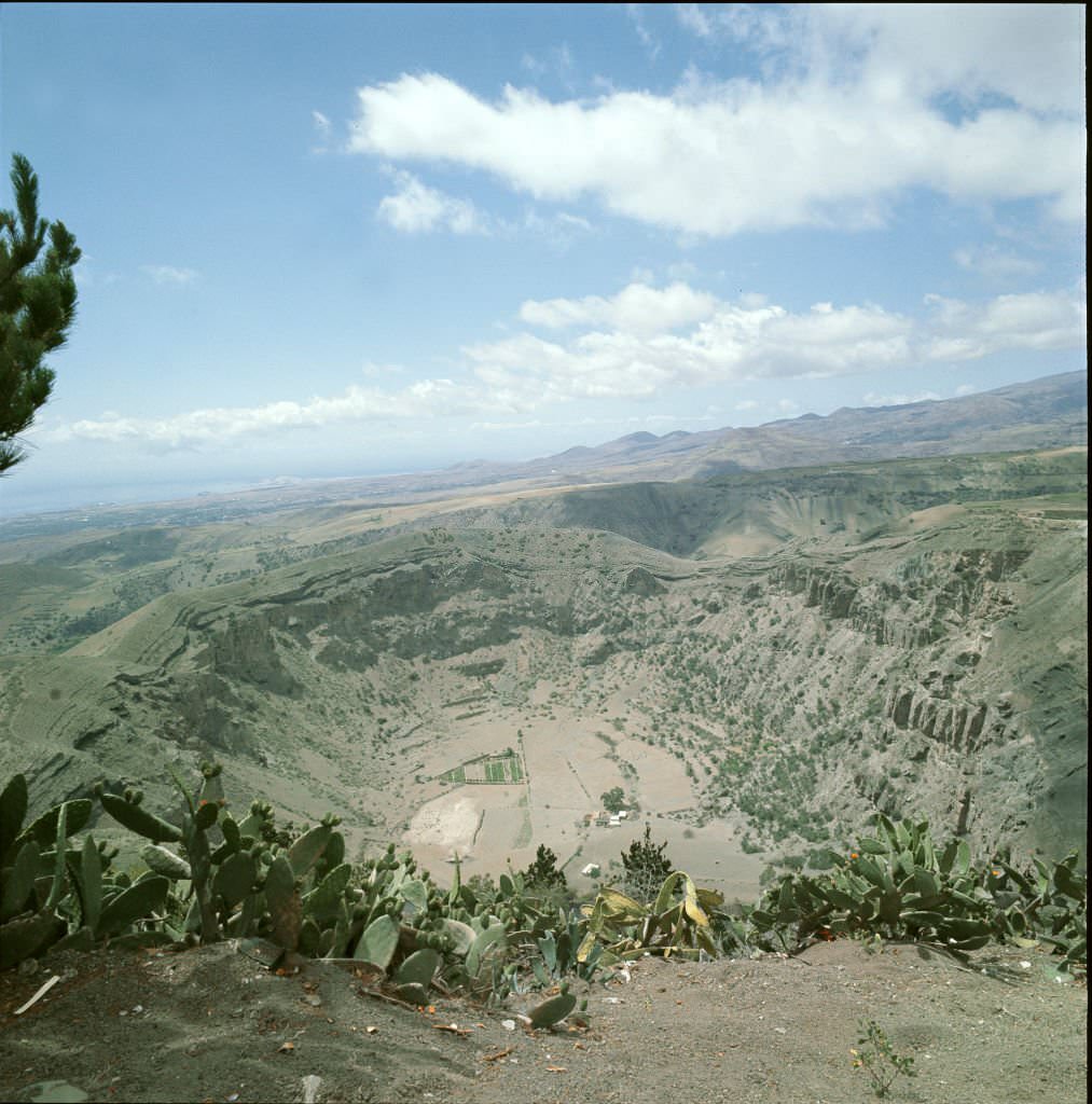 #28 Volcanic landscape in Tenerife, 1970