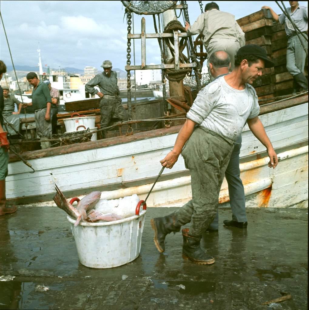 #36 Fisherman working at harbour, Tenerife, 1970