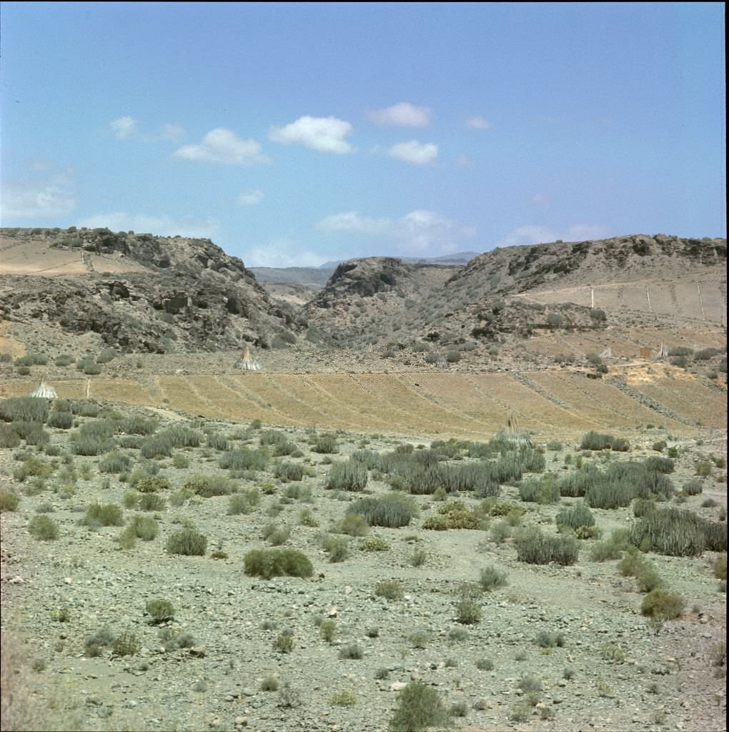 #42 Volcanic landscape in Tenerife, 1970
