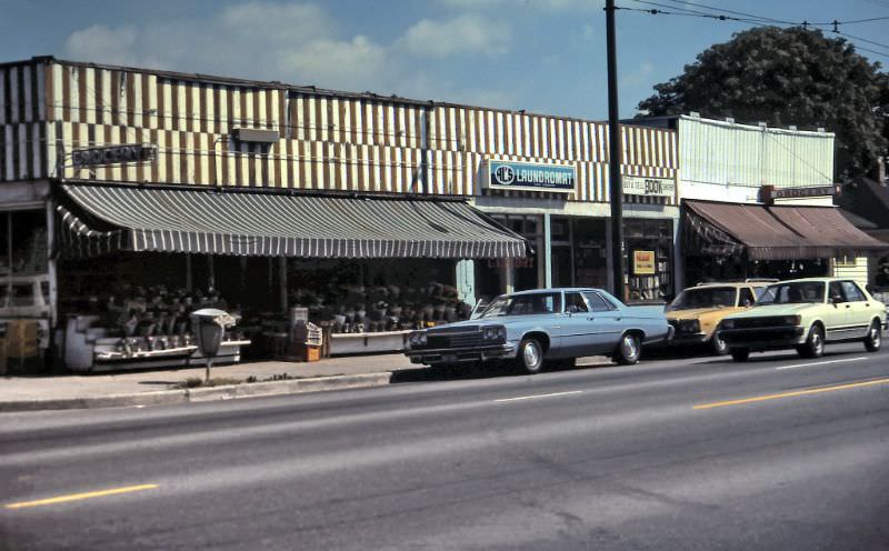 #89 Grocery stores on Main Street near 33rd Avenue, Vancouver, 1984