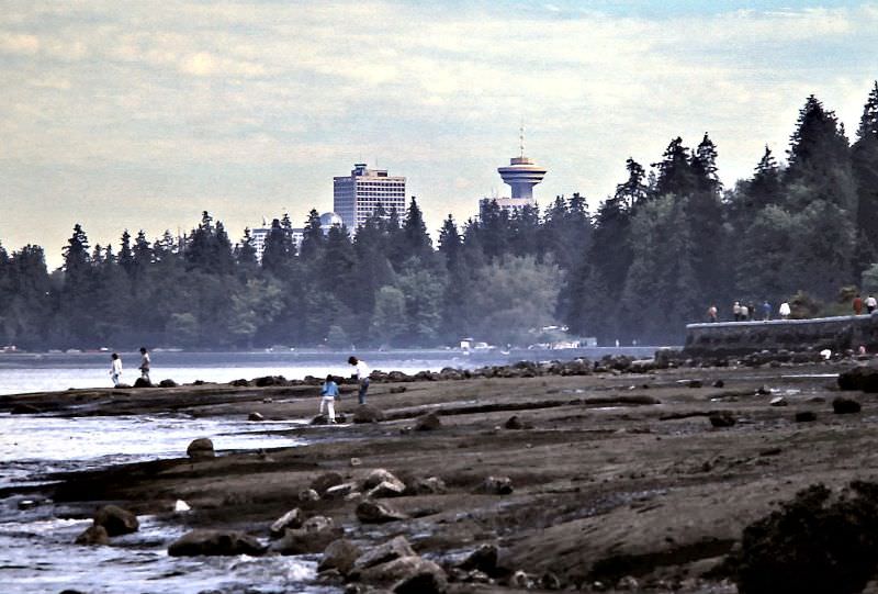 #49 Below the seawall at low-tide east of Lions Gate Bridge in Stanley Park, Vancouver, 1986