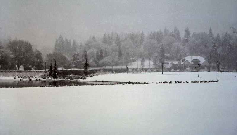 #39 Georgia Street entrance to Stanley Park, Vancouver, 1986