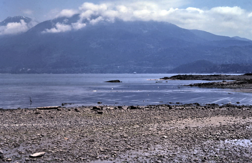 #110 Bowen Island Coast, Howe Sound, 1980
