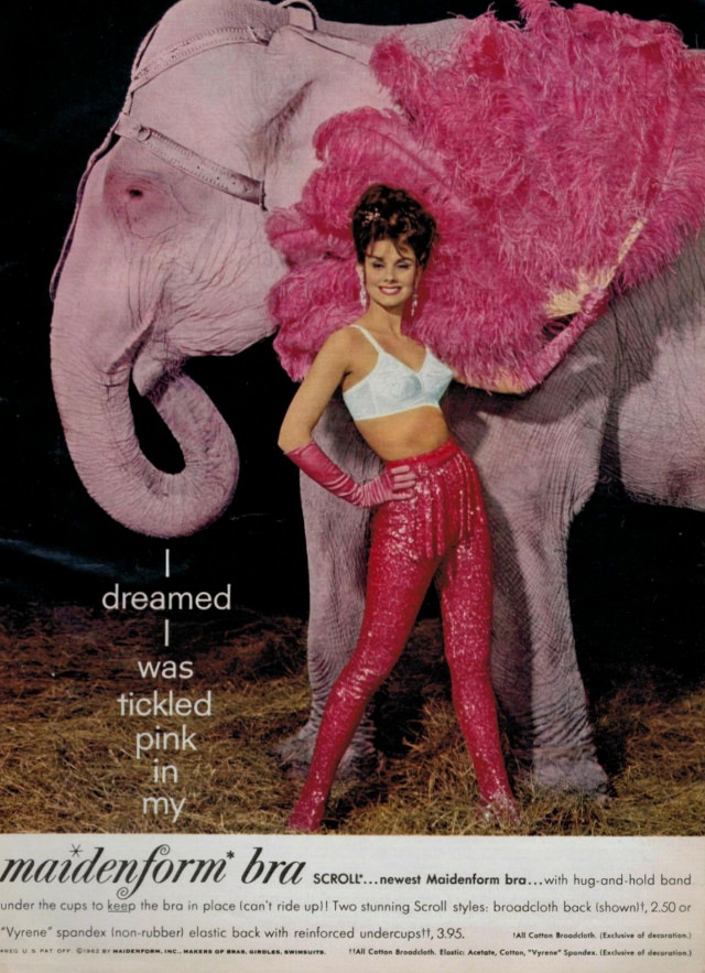 &;I Dreamed..&;: Vintage Maidenform Bra Ads from the 1940s and 1950s Vintage Ads