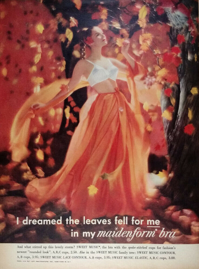 &;I Dreamed..&;: Vintage Maidenform Bra Ads from the 1940s and 1950s Vintage Ads