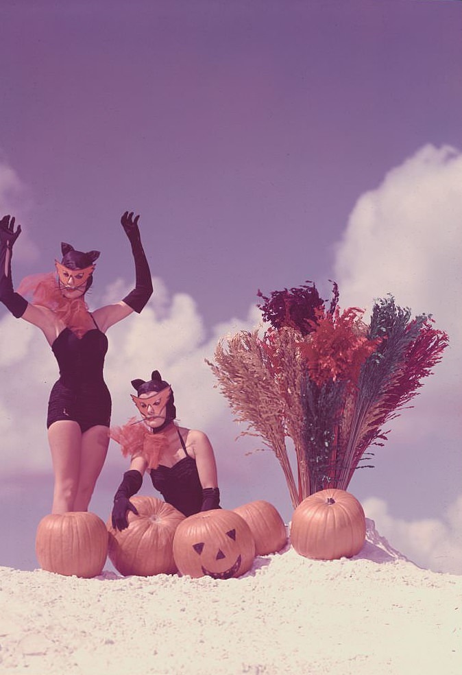 #99 Young Women in Costume Posing on Beach with Pumpkins.Winter Haven, Florida: Halloween feature picture made at Cypress Gardens.