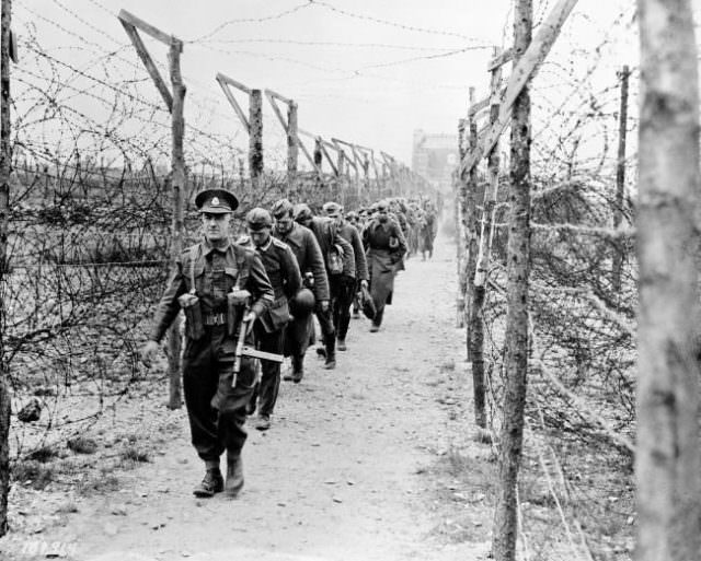 #12 Led by a British soldier, a line of German prisoners of war is marched along a barbed-wire barricaded lane as they arrive at a POW camp somewhere in England, in June 1944