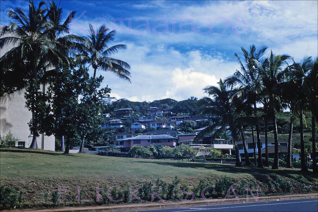 #64 Mauka view of Makiki Heights from the corner of Nehoa Street and Mott Smith Drive behind Punchbowl Crater, 1955.