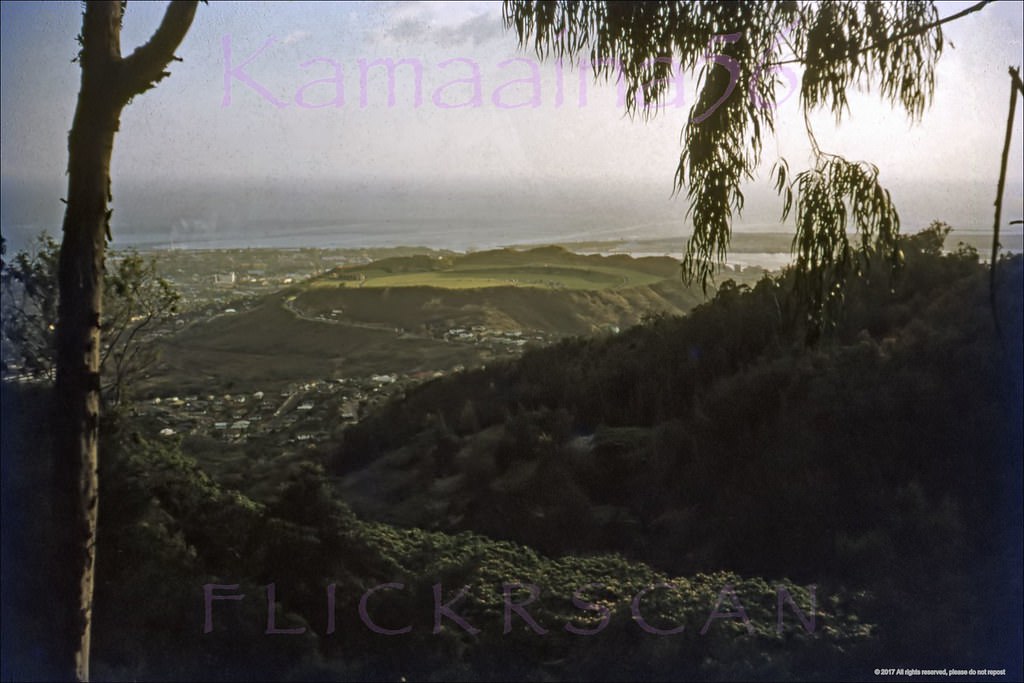 #7 Hazy late afternoon view from Tantalus Drive looking out over Punchbowl Crater and Honolulu, 1950s.