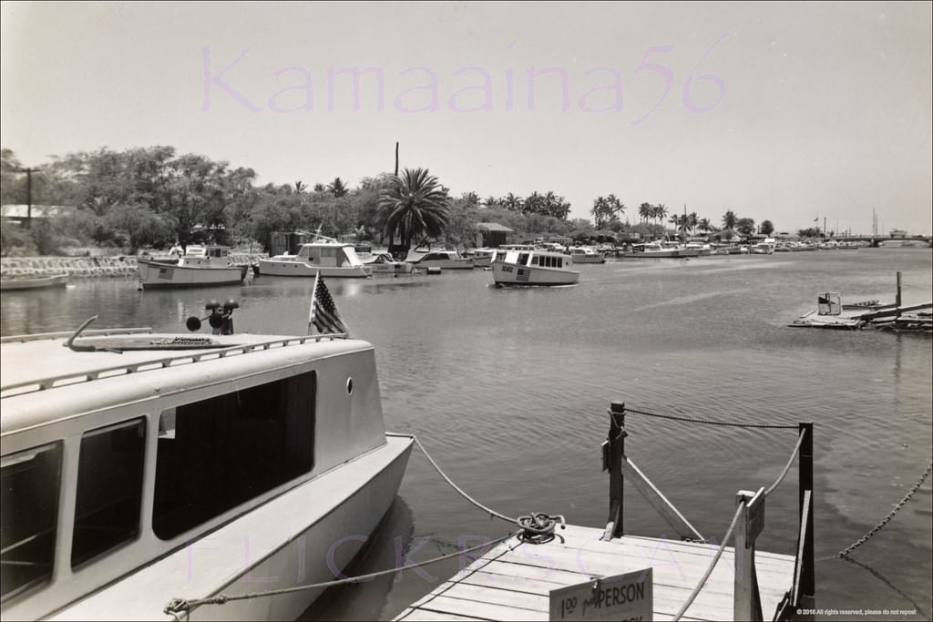 #20 Boats docked along the 1926 Ala Wai Canal. The boats had to be small enough to fit under the Ala Moana Bridge visible in the distance at right, 1940s