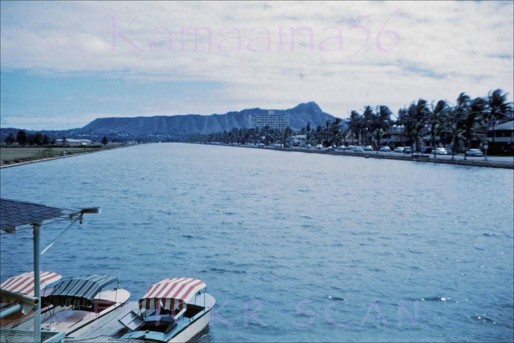 #67 U-drive Boats Ala Wai Waikiki, 1950s