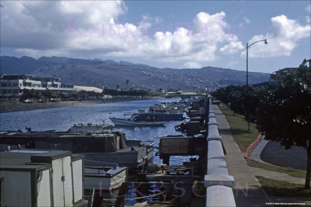 #69 Ala Wai Canal Mauka View, 1950s