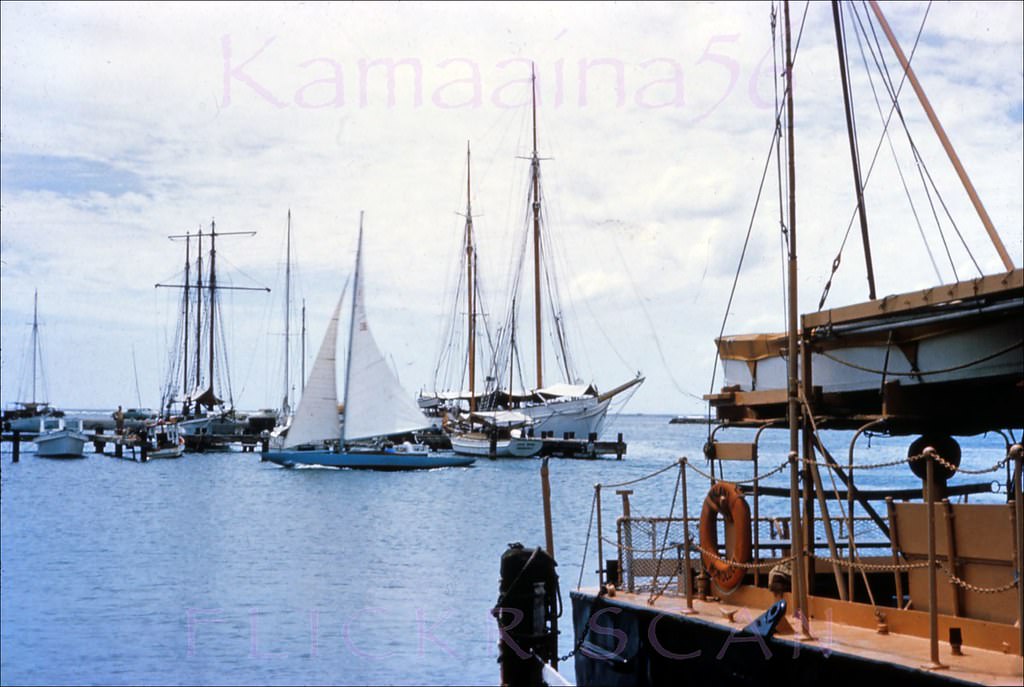 #77 Small boat harbor between Waikiki and Honolulu, 1955