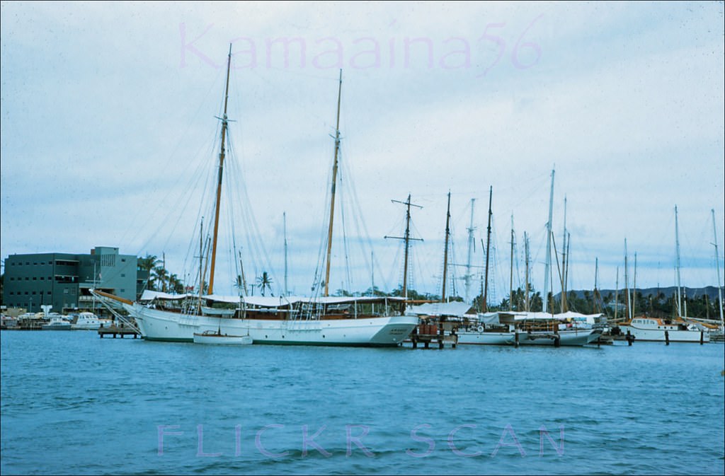 #78 View from Ala Moana Park of Ala Wai Yacht harbor on south shore Oahu, 1955