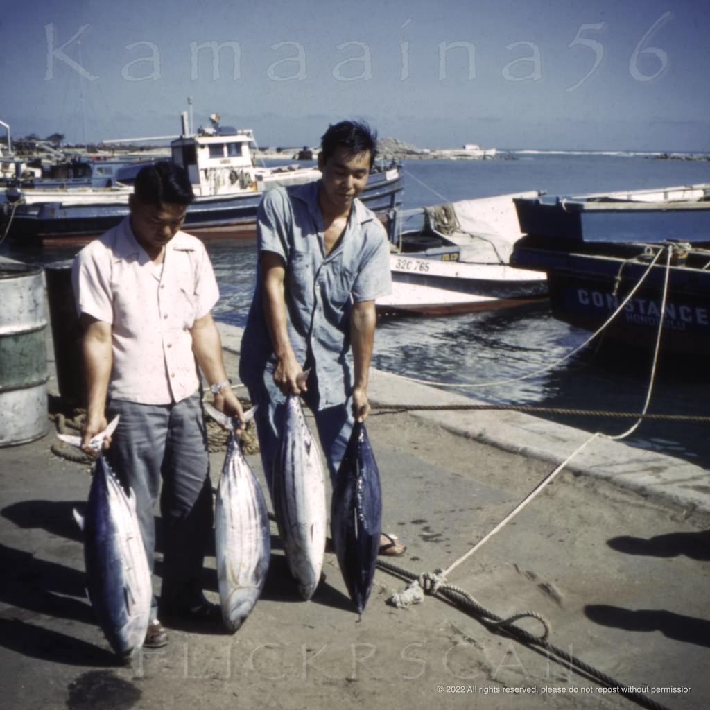 #33 Tuna fishermen display their catch at Kewalo Basin on Oahu’s sunny south shore, 1949.