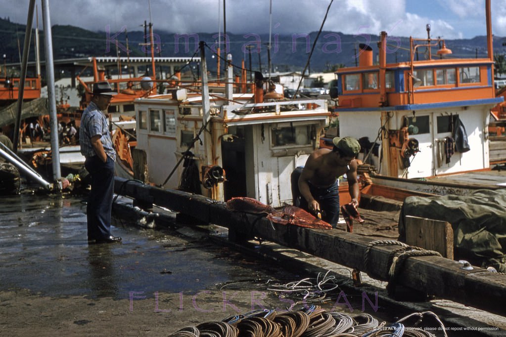 #44 Wooden “sampan” tuna boats docked at Fisherman’s Wharf on Kewalo Basin in Honolulu, 1960