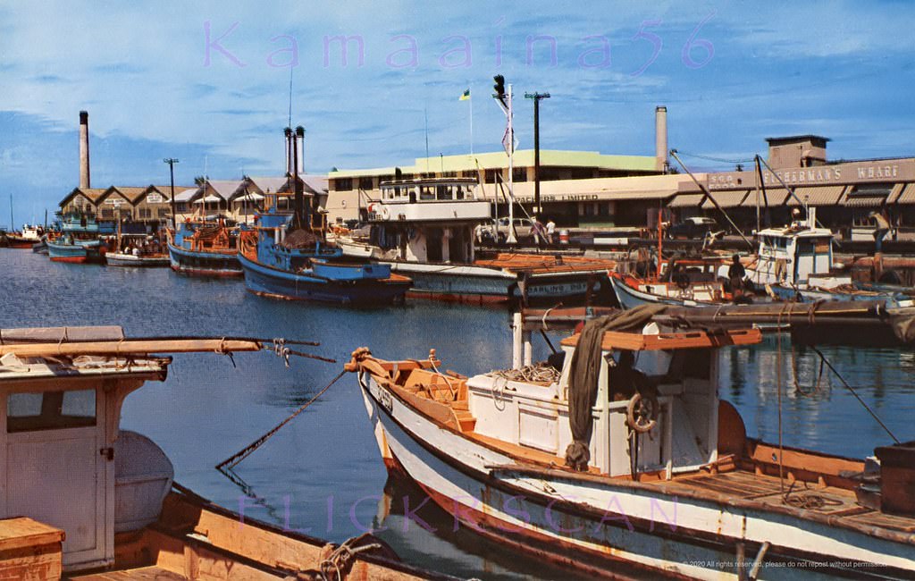 #91 The sampan deep sea fishing fleet in Honolulu’s Kewalo Basin, 1950s