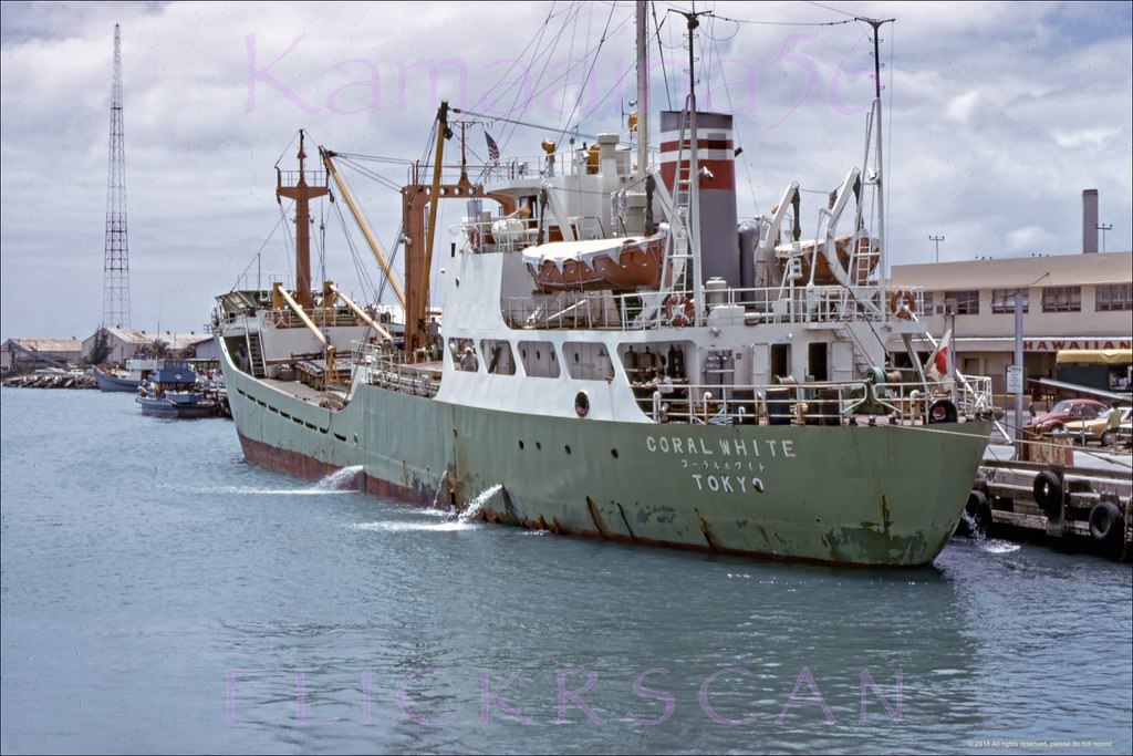 #24 Trawler Coral White Kewalo, 1974