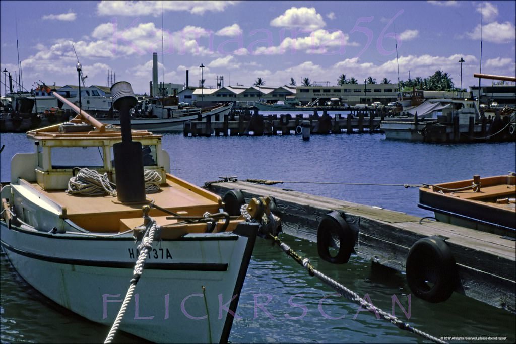 #45 Aku Boats Kewalo Basin, 1967