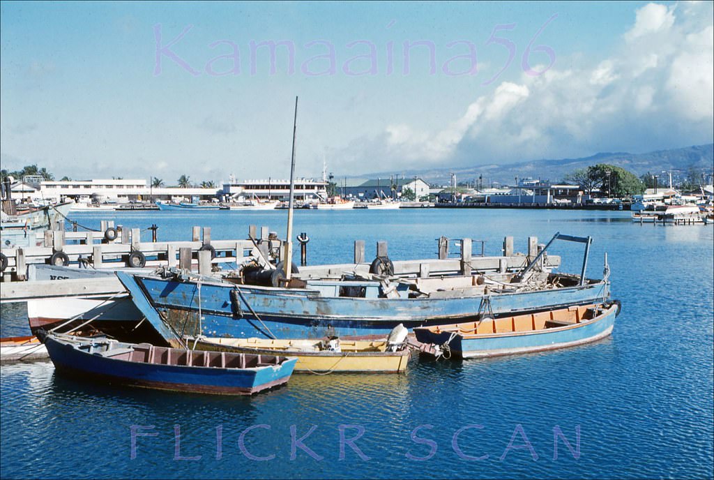 #47 Still Life Kewalo, 1960