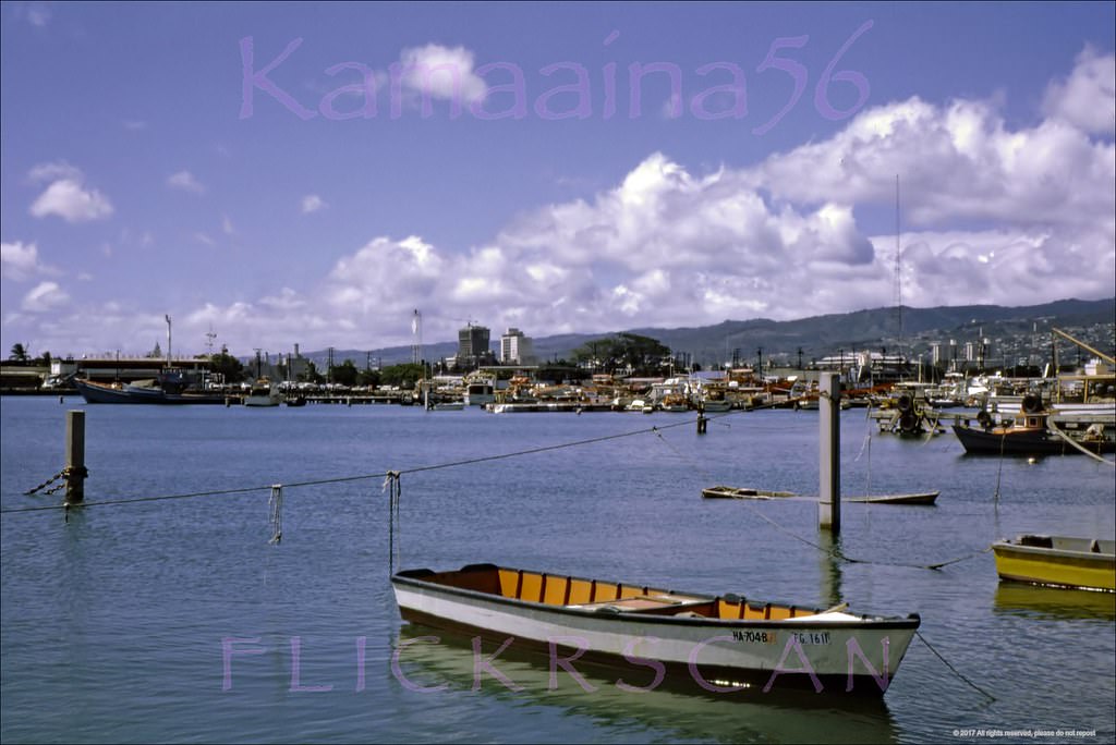 #49 Fisherman’s Wharf Kewalo, 1967