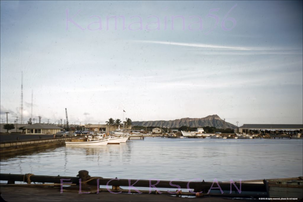 #94 Looking east towards Waikiki’s Diamond Head from Fisherman’s Wharf at Kewalo Basin on south shore Oahu, 1955