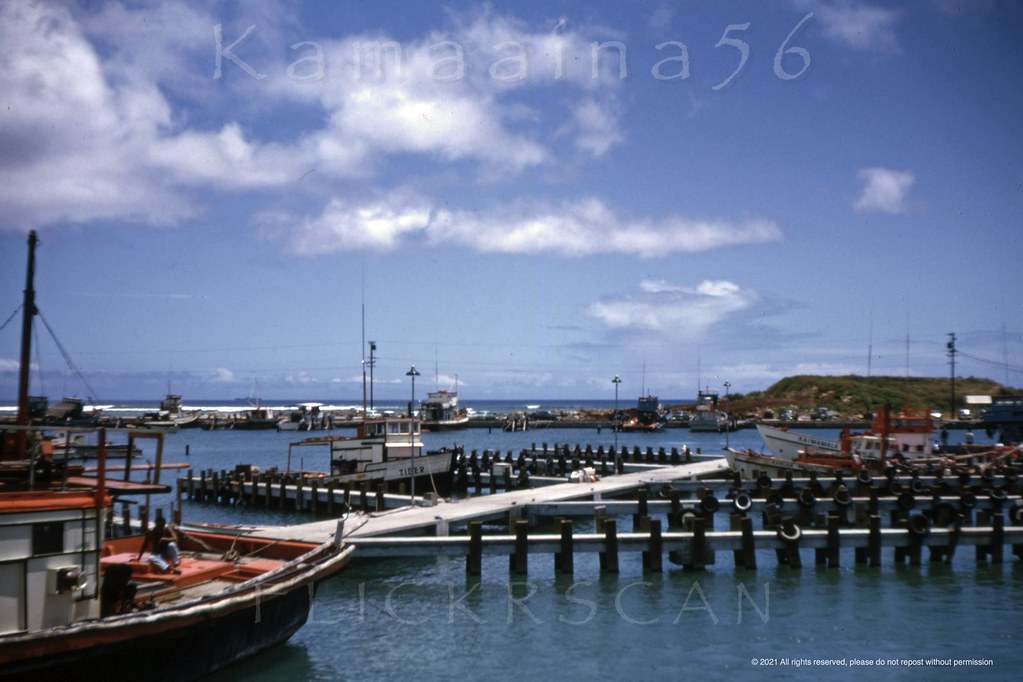 #51 Kewalo Basin Peninsula, 1963