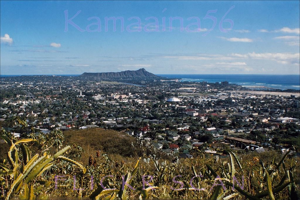 #13 Beautifully detailed birdseye view of a low-rise Honolulu, Waikiki and Diamond Head from the Punchbowl Crater lookout, 1958.