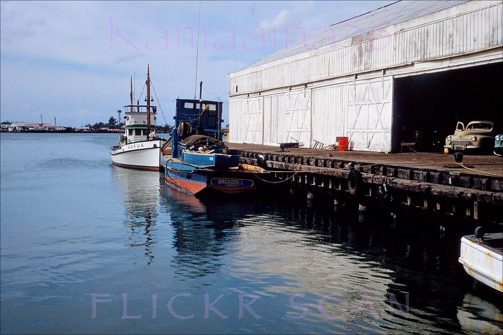 #105 Fishing boats Makua and Broadbill moored at Honolulu Harbor with Sand Island in the background, 1951