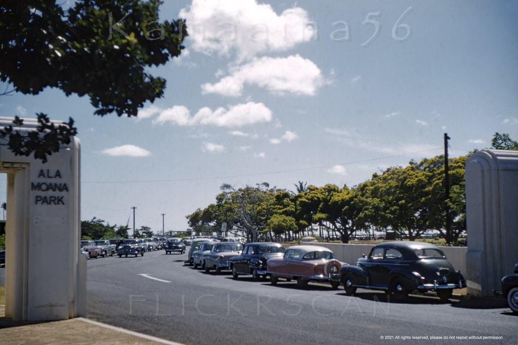 #113 Ala Moana Park Entrance, 1950s