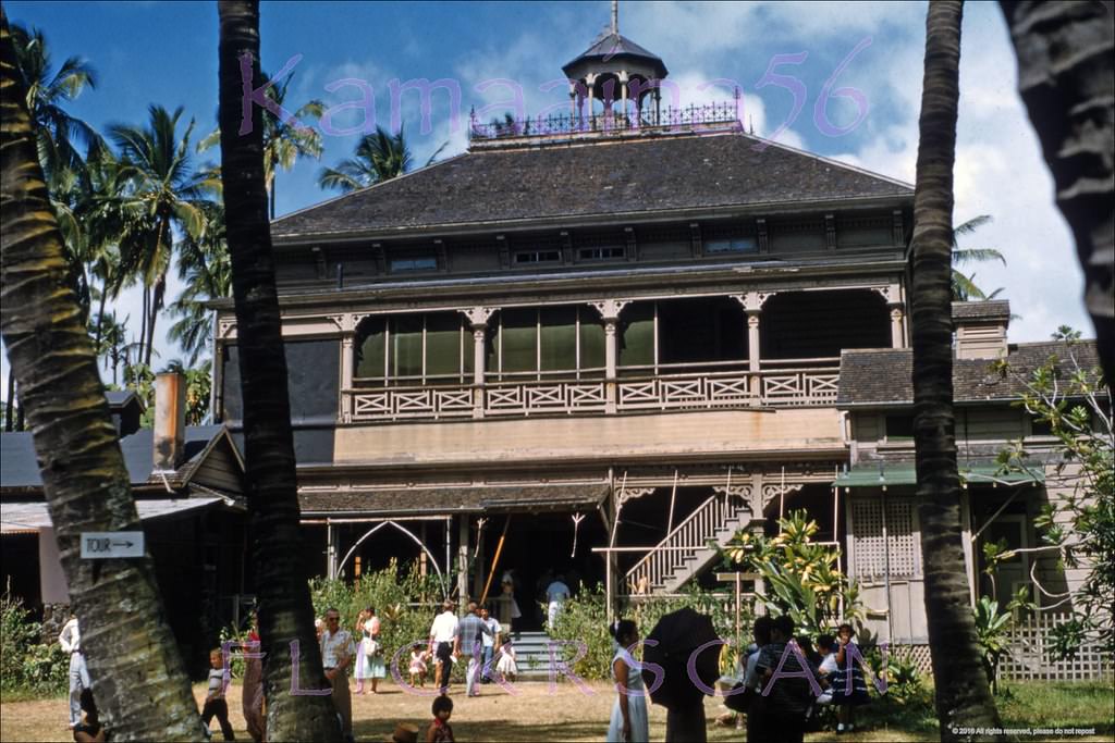 #116 Old Plantation Ward Estate, 1958