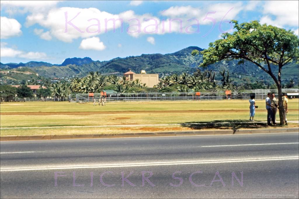 #41 McKinley High Kapiolani Ave, 1949
