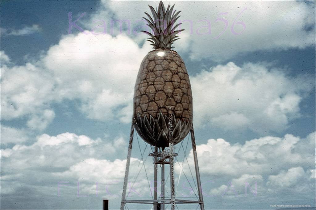 #122 Dole Pineapple Tower, 1950s.