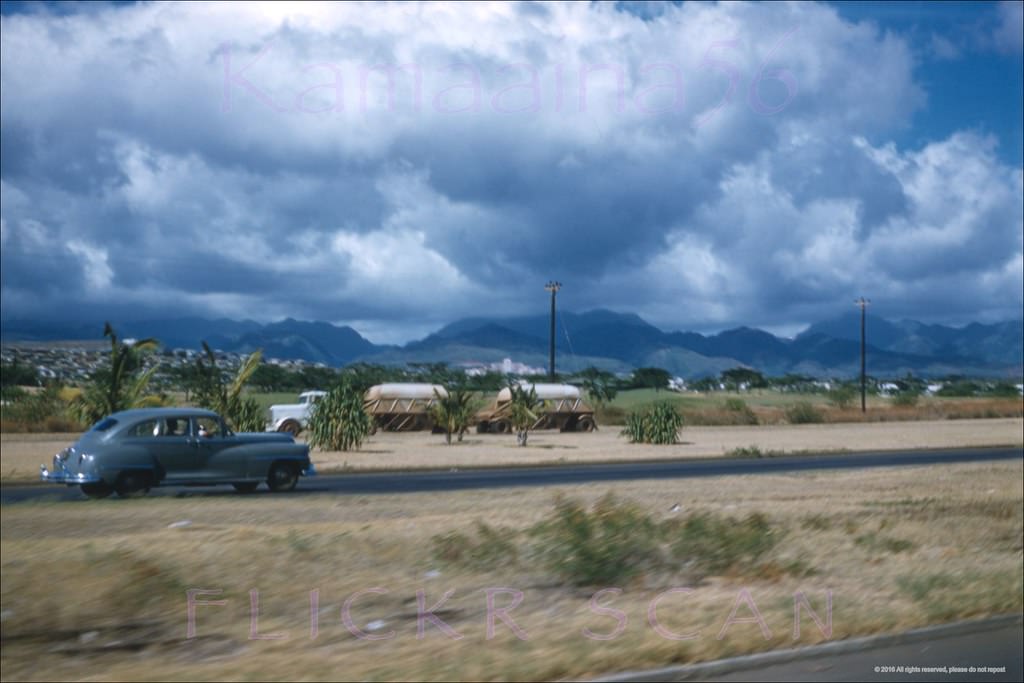 #127 Kamehameha Hwy Mauka, 1950s.